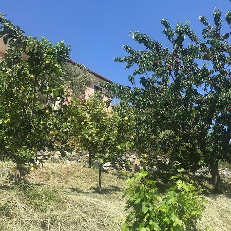 Villa Teresa Casarza Ligure Εξωτερικό φωτογραφία