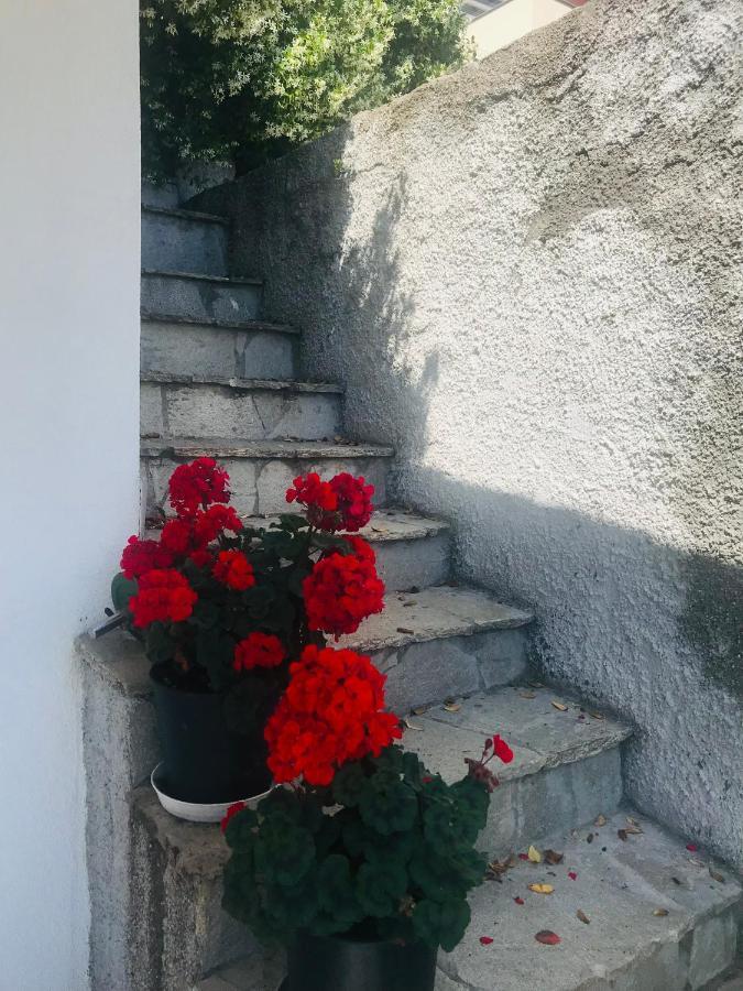 Villa Teresa Casarza Ligure Εξωτερικό φωτογραφία