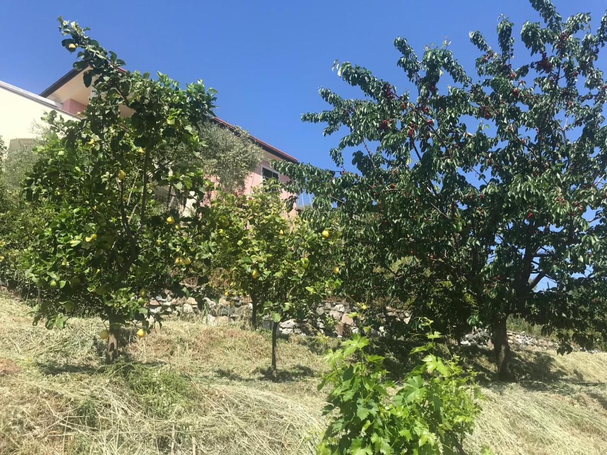 Villa Teresa Casarza Ligure Εξωτερικό φωτογραφία